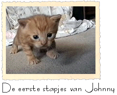 De eerste stapjes van Johnny