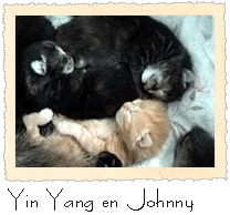 Yin Yang en Johnny