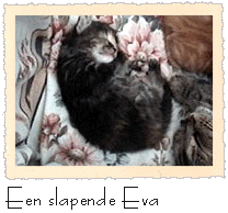 Een slapende Eva